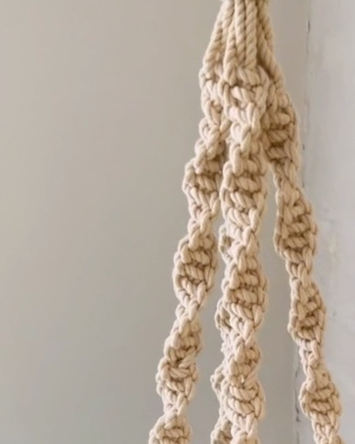 trina macrame plant hanger