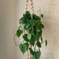 trina macrame plant hanger