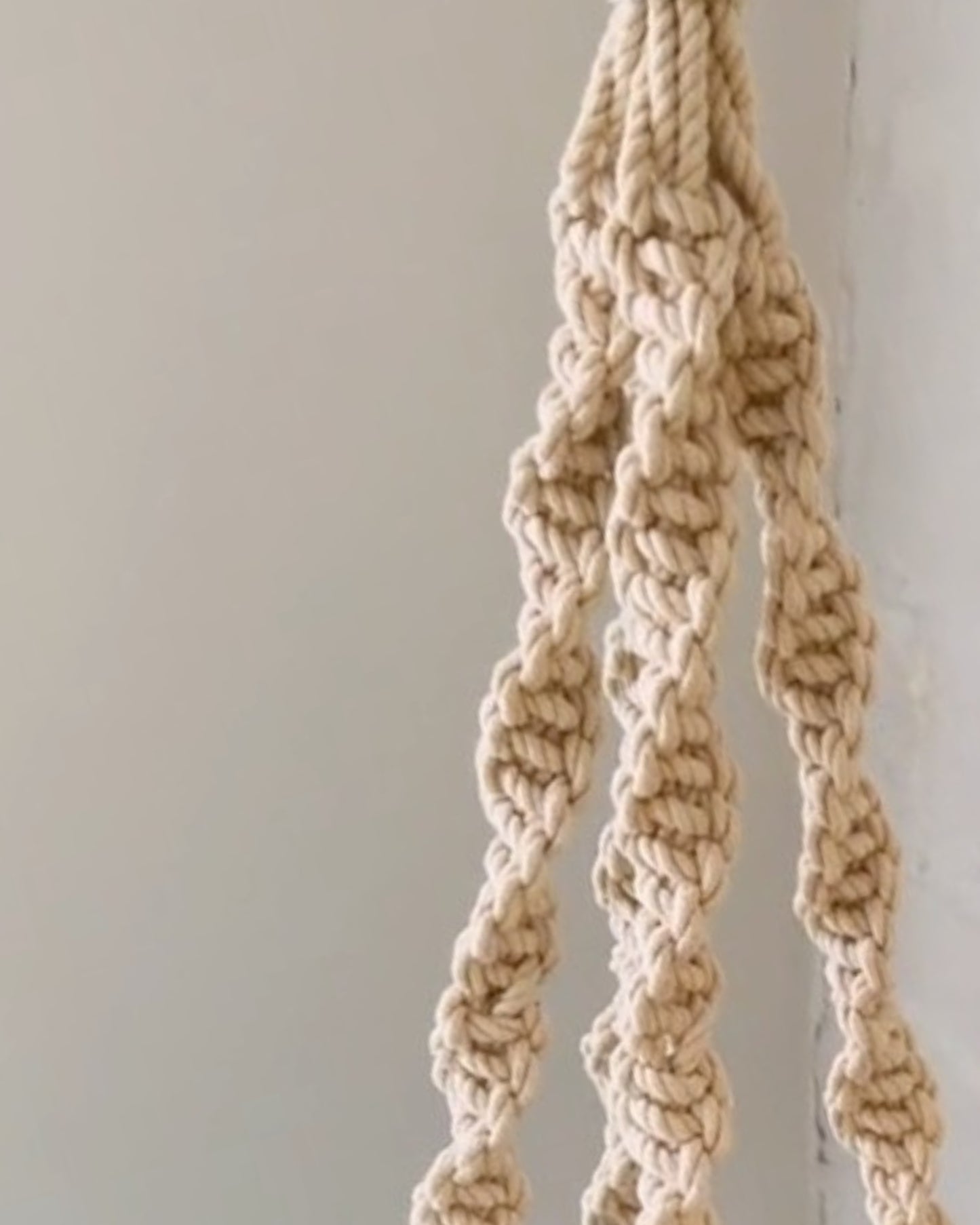 trina macrame plant hanger