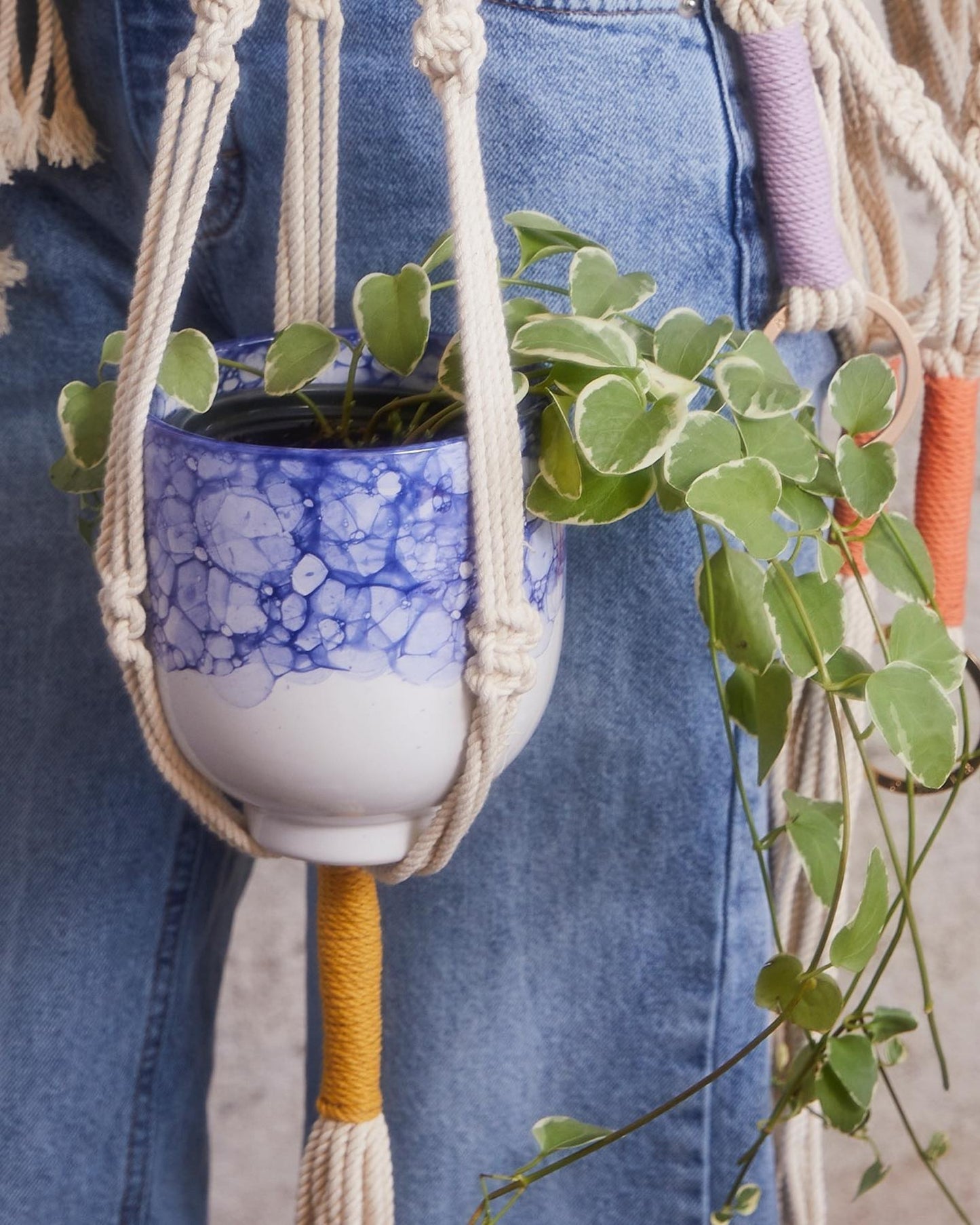 trina macrame plant hanger