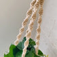 trina macrame plant hanger