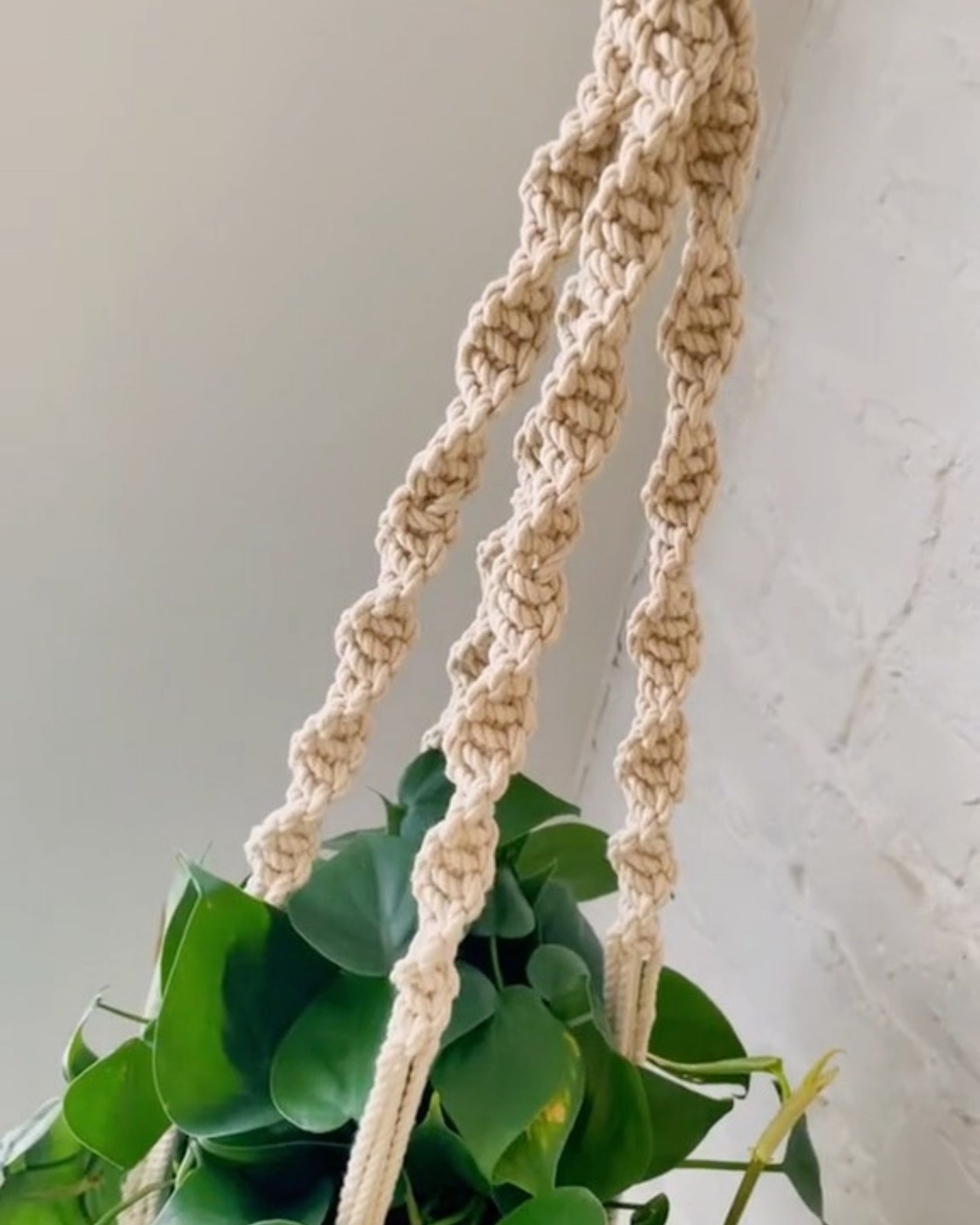 trina macrame plant hanger